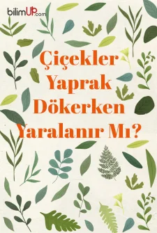 Çiçekler Yaprak Dökerken Yaralanır Mı?