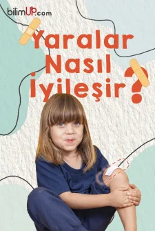 Yaralar Nasıl İyileşir?