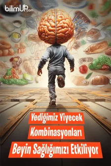 Yediğimiz Yiyecek Kombinasyonları Beyin Sağlığımızı Etkiliyor