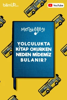 Yolculukta Kitap Okurken Neden Midemiz Bulanır? - Video