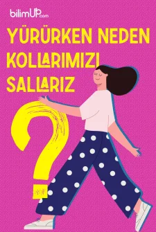 Kollarımızı Yürürken Neden Sallarız?