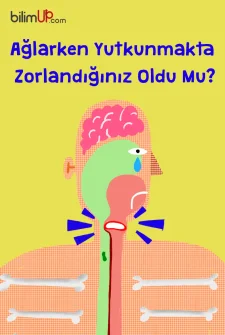 Ağlarken Neden Yutkunmakta Zorlanırız?