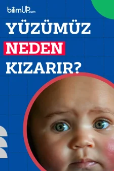 Yüzümüz Neden Kızarır?