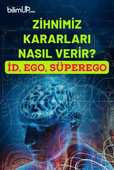 Zihnimiz Kararları Nasıl Verir?: Id, Ego, Super Ego