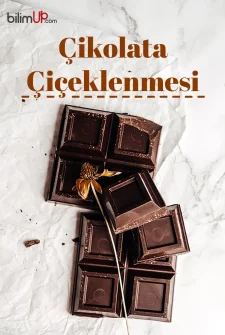 Çikolata Neden Beyazlar? Çikolata Çiçeklenmesi