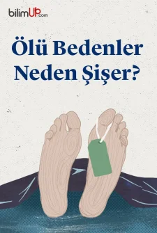 Ölü Bedenler Neden Şişer?