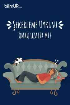 Şekerleme Uykusu Ömrü Uzatır Mı?