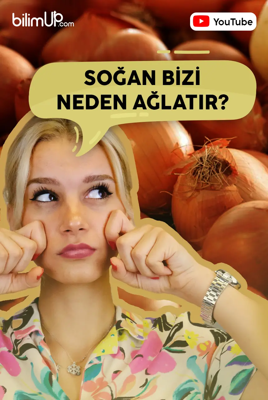 Soğan Bizi Neden Ağlatır? - Video