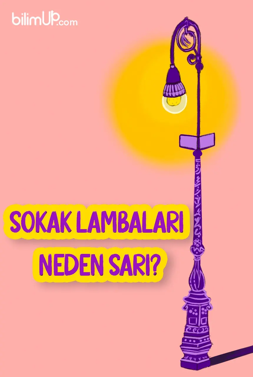 Sokak Lambaları Neden Sarı?