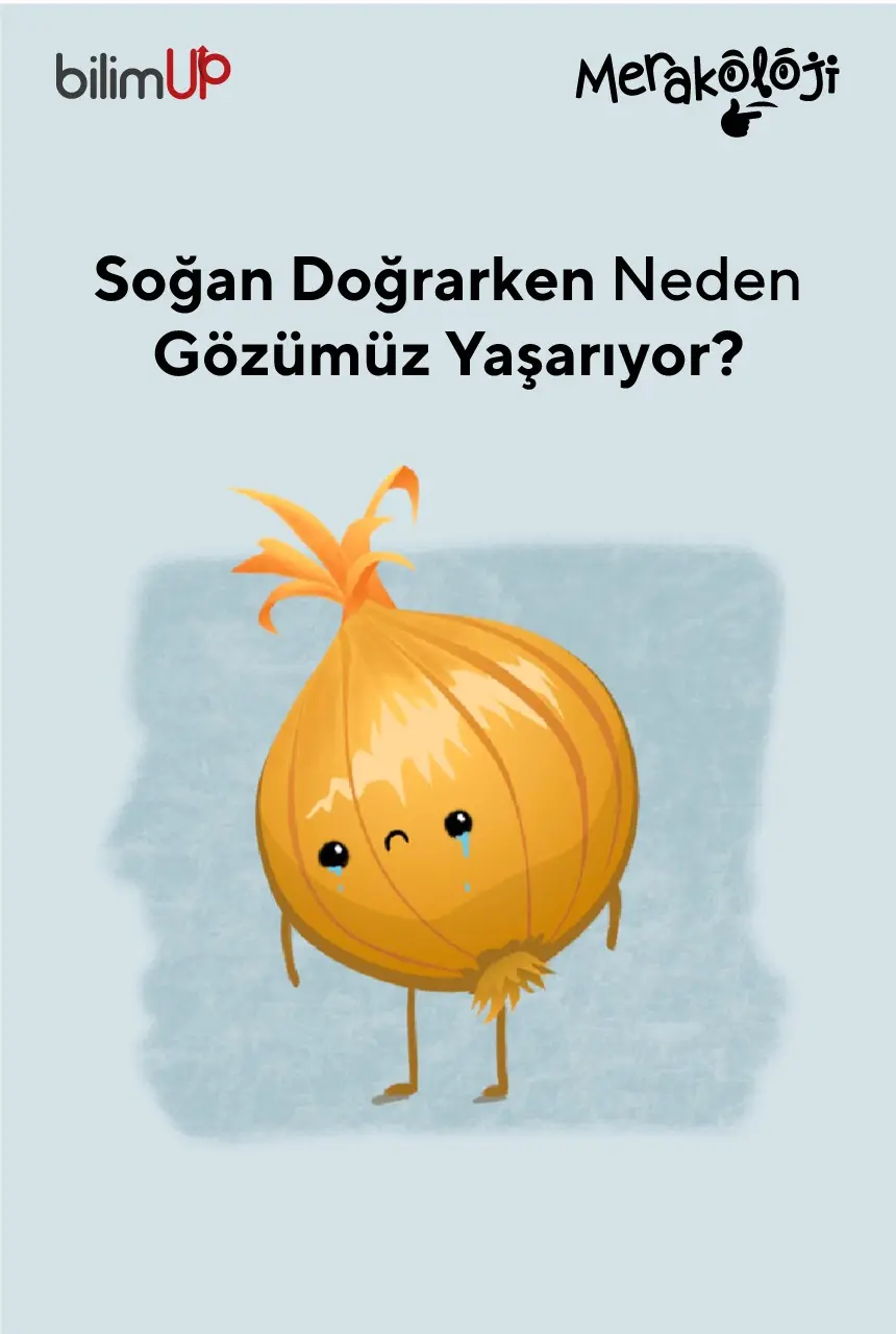 Soğan Doğrarken Neden Gözümüz Yaşarır?