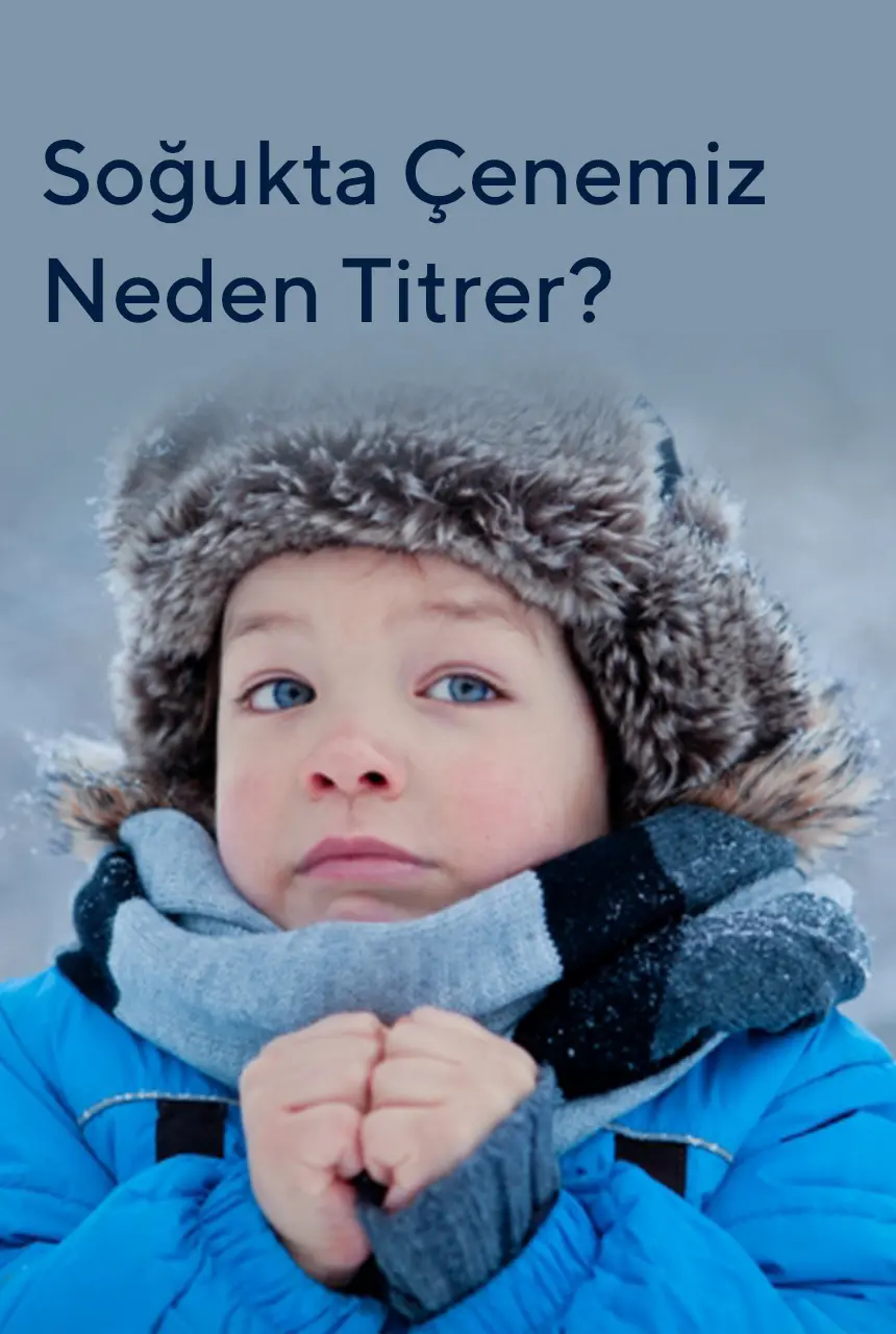 Soğukta Çenemiz Neden Titrer?