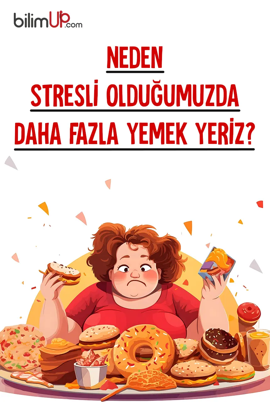 Neden Stresli Olduğumuzda Daha Fazla Yemek Yeriz?