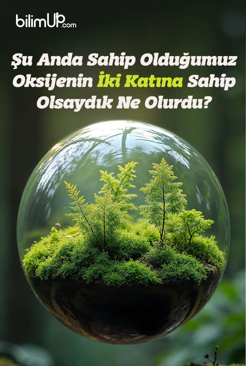 Şu Anda Sahip Olduğumuz Oksijenin İki Katına Sahip Olsaydık Ne Olurdu?