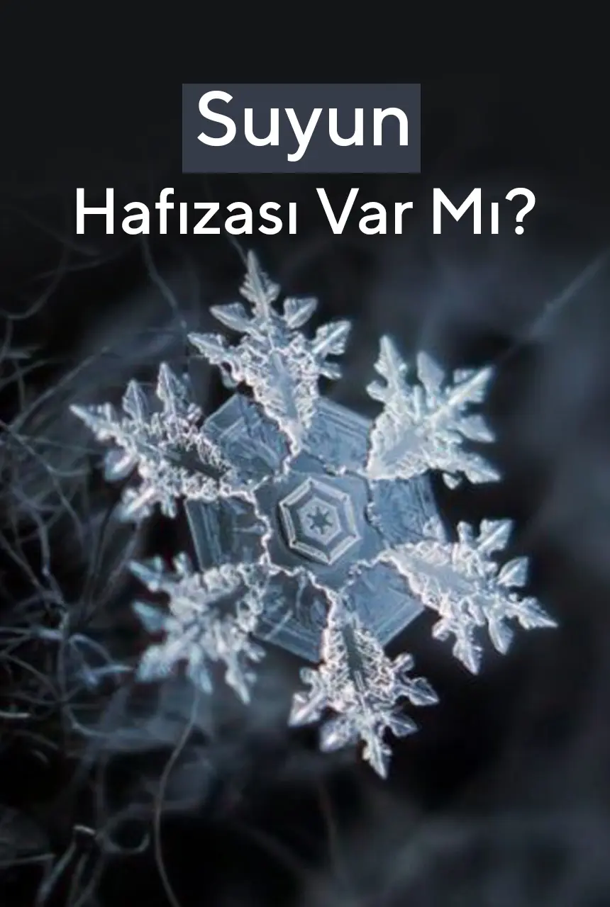 Suyun Hafızası Var Mıdır?