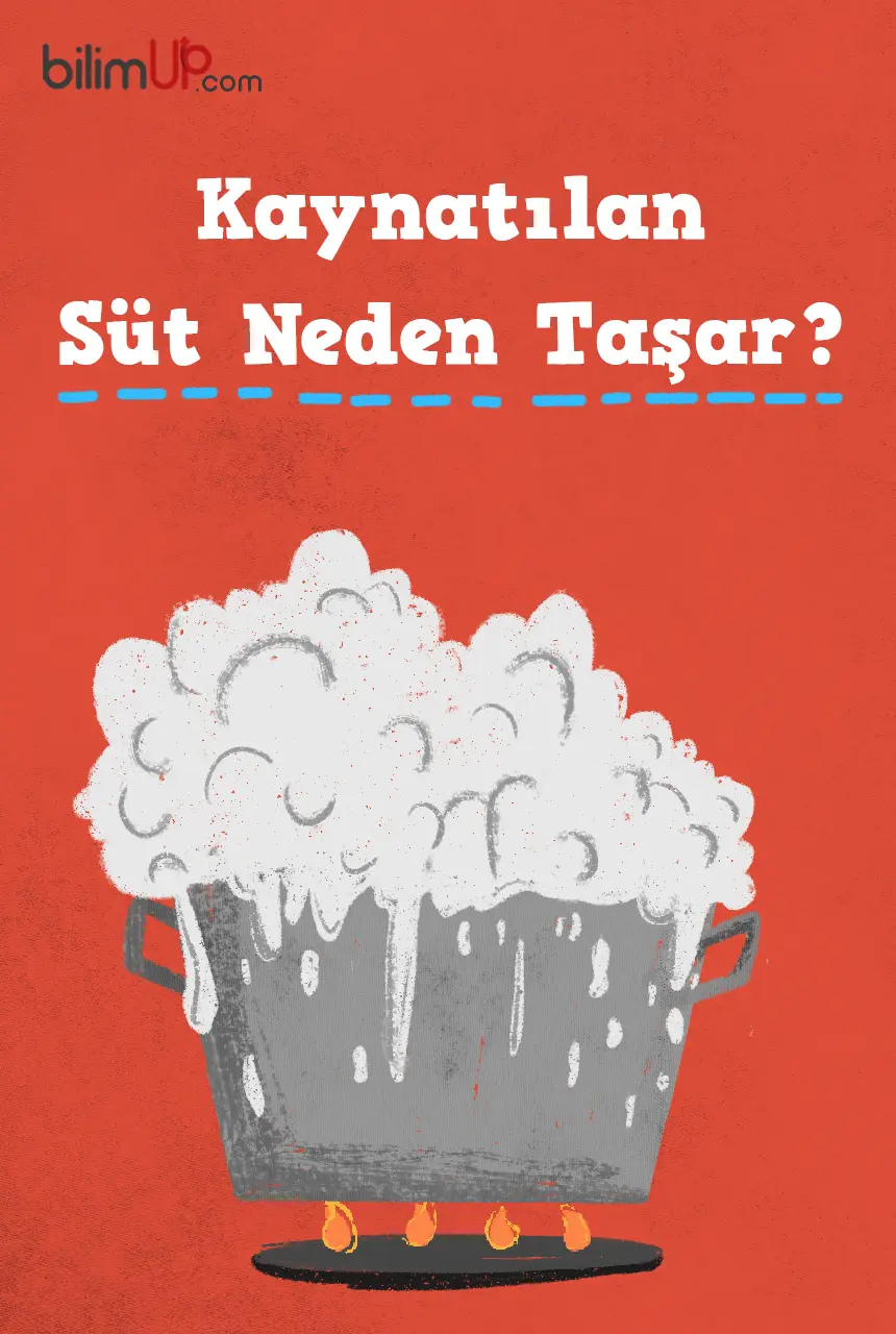 Kaynatılan Süt Neden Taşar?