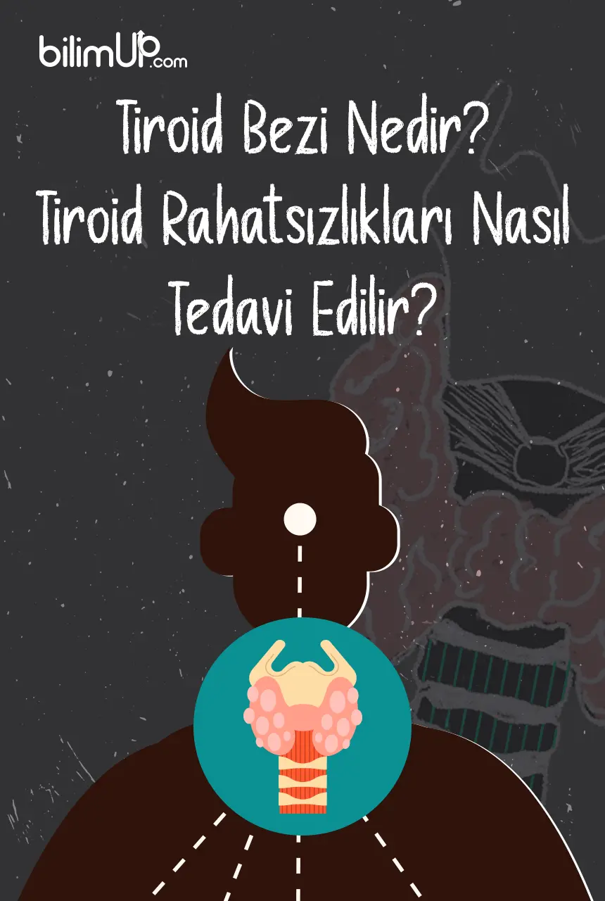 Tiroit Bezi Nedir? Tiroit Rahatsızlıkları Nasıl Tedavi Edilir?