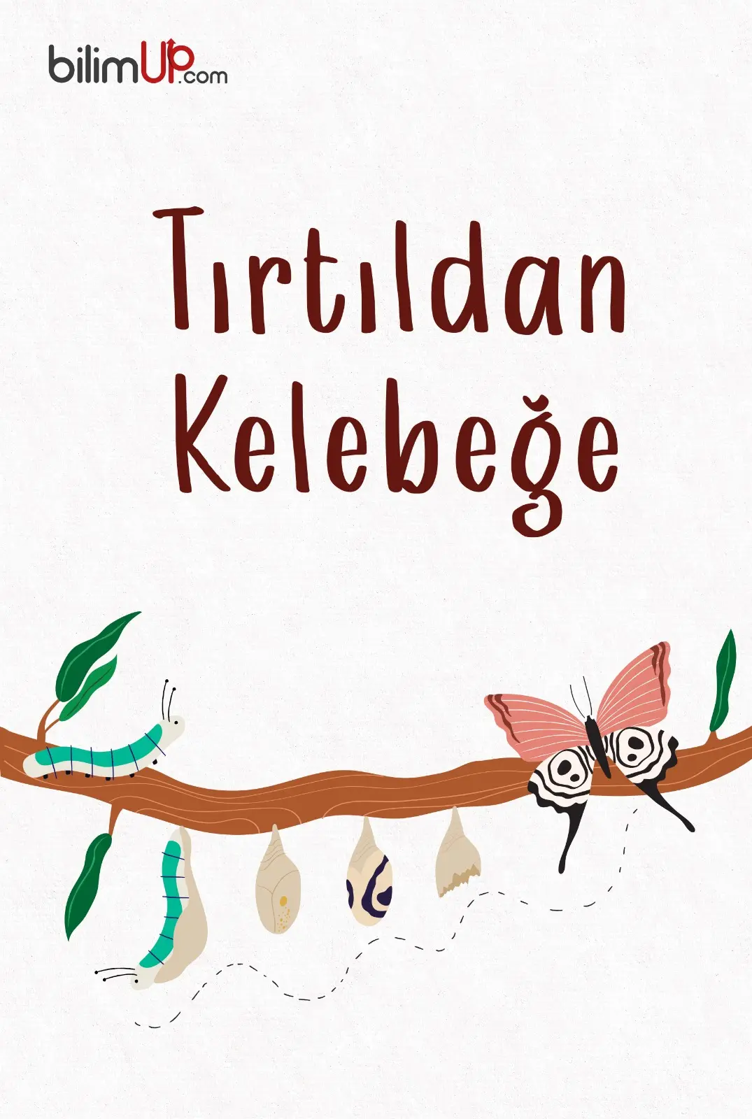 Tırtıldan Kelebeğe