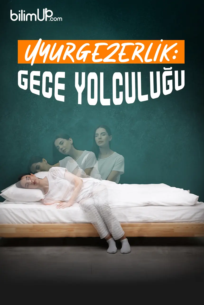 Uyurgezerlik: Gece Yolculuğu