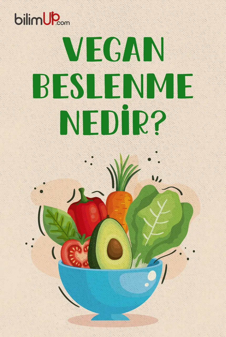 Vegan Beslenme Nedir?