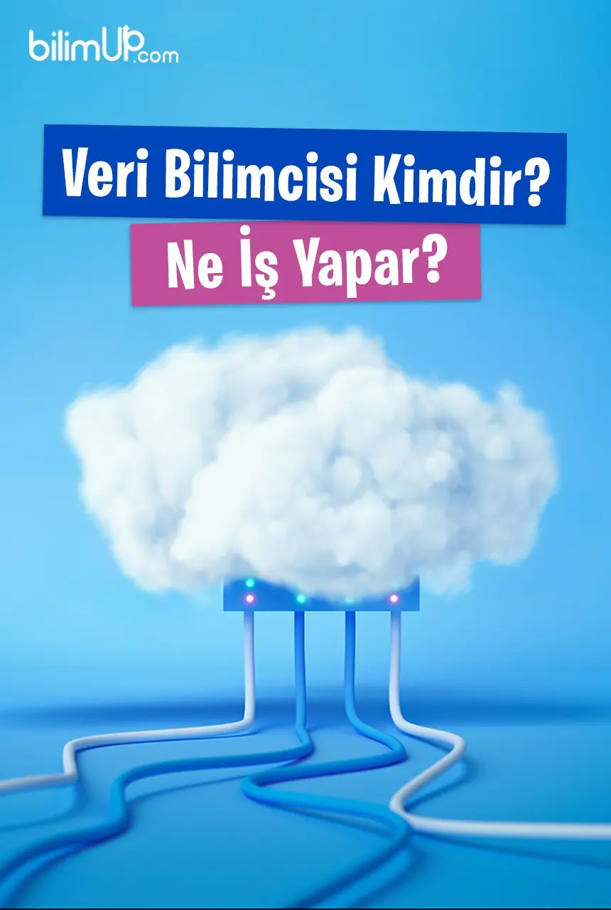 Veri Bilimci Kimdir? Ne İş Yapar?