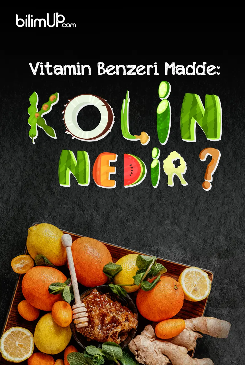 Vitamin Benzeri Madde: Kolin Nedir?