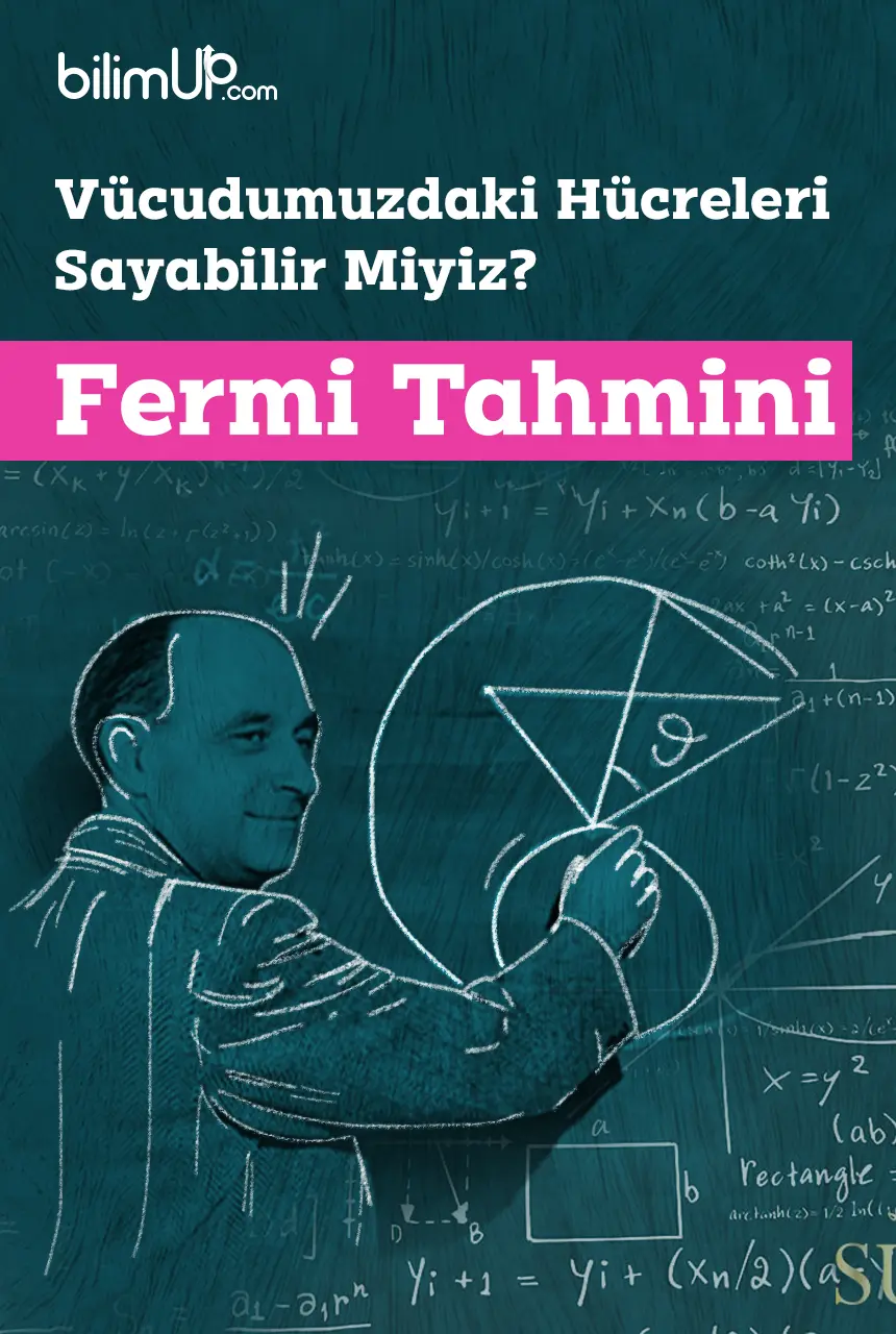 Vücudumuzdaki Hücreleri Sayabilir Miyiz: Fermi Tahmini