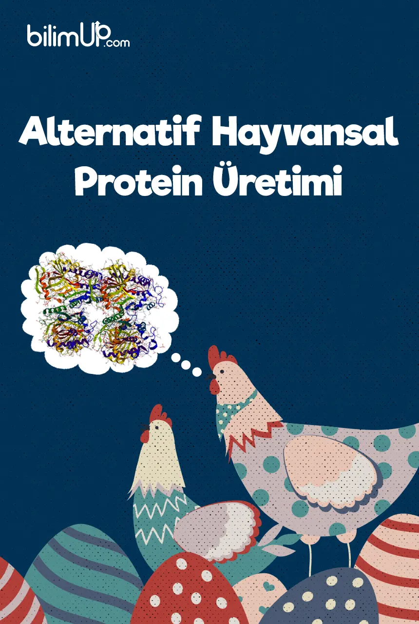 Alternatif Hayvansal Protein Üretimi