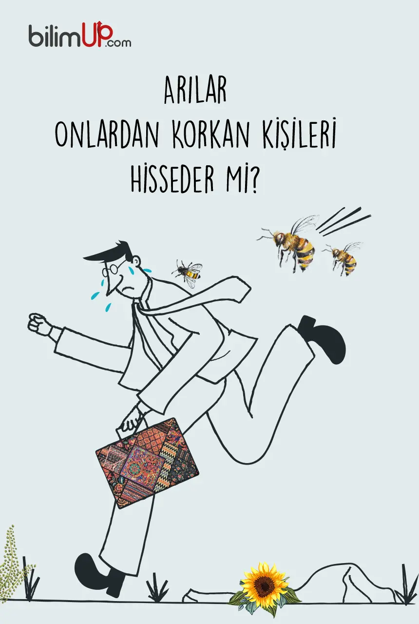 Arılar Onlardan Korkan Kişileri Hisseder Mi?