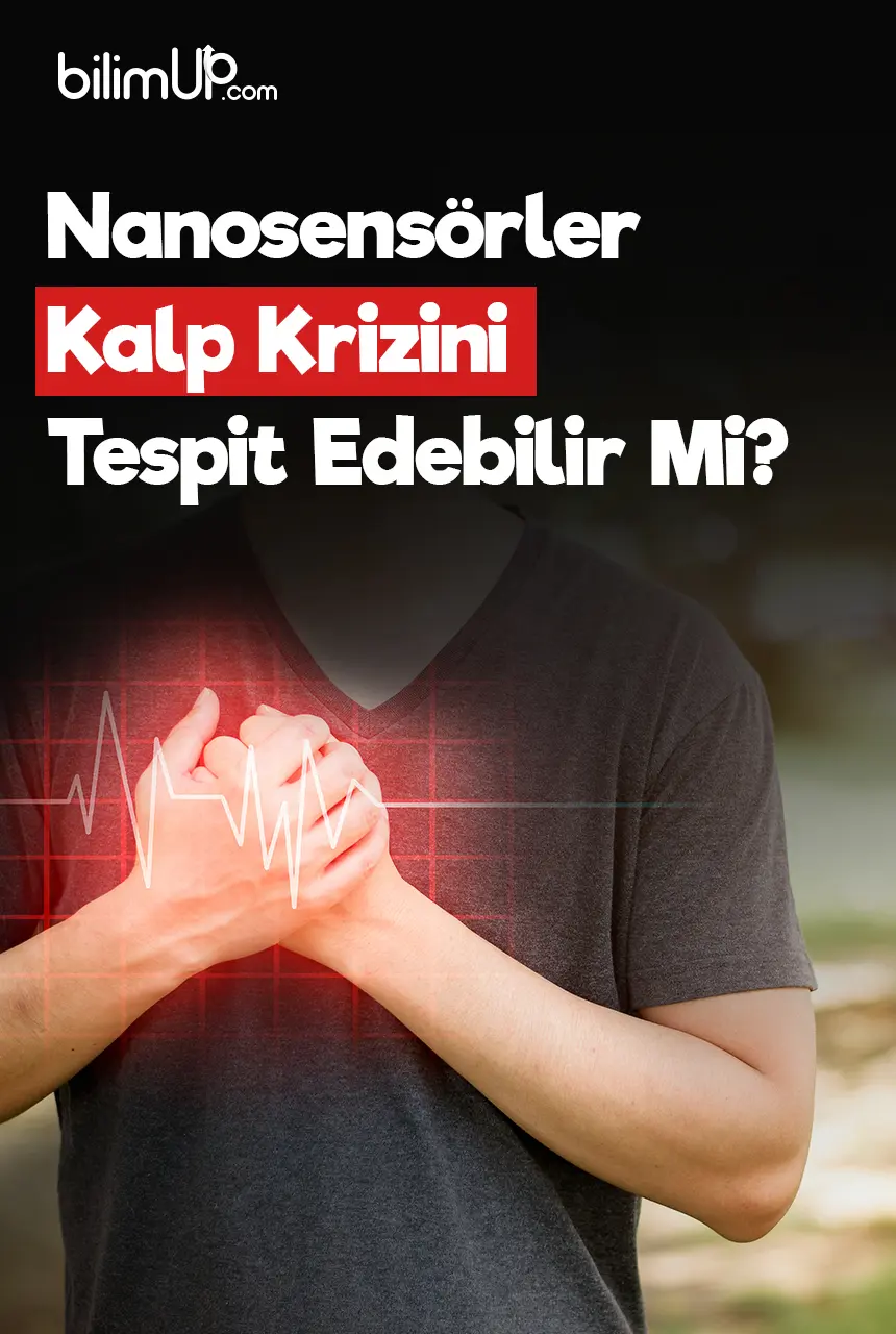 Nanosensörler Kalp Krizini Tespit Edebilir Mi?
