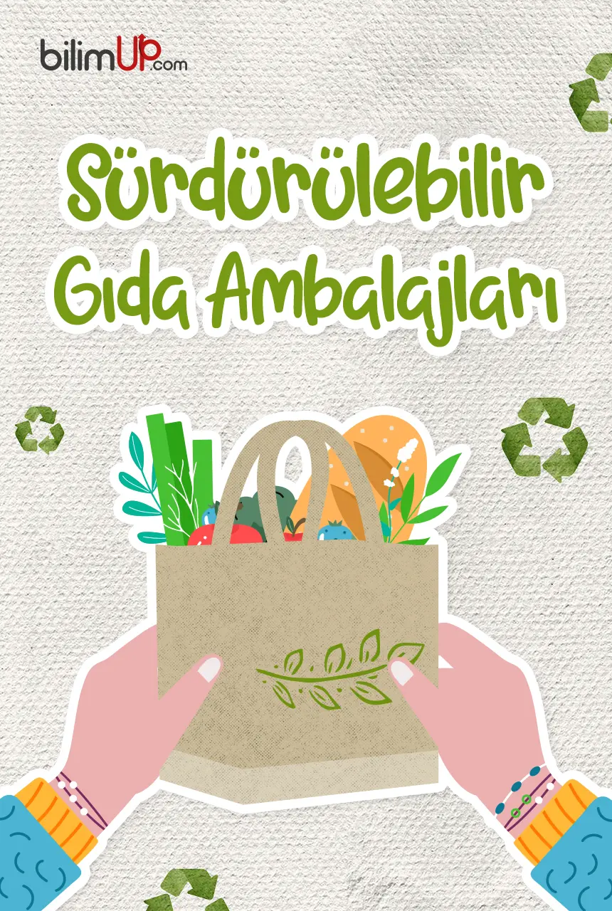 Sürdürülebilir Gıda Ambalajları