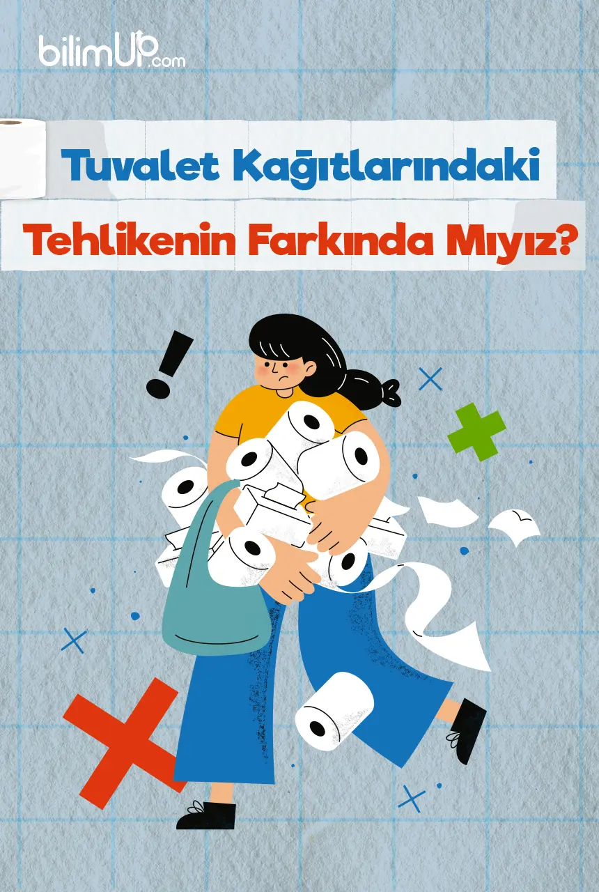 Tuvalet Kağıtlarındaki Tehlikenin Farkında Mıyız?