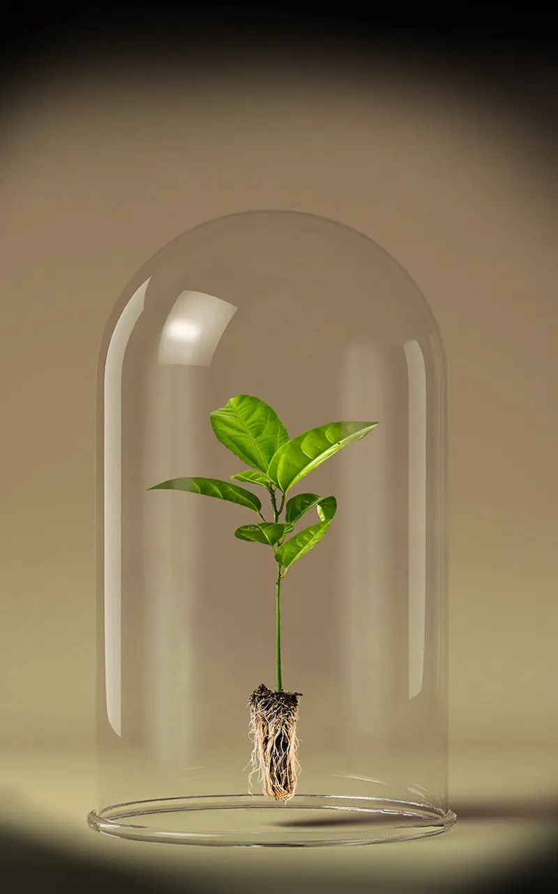 İklim Değişikliği