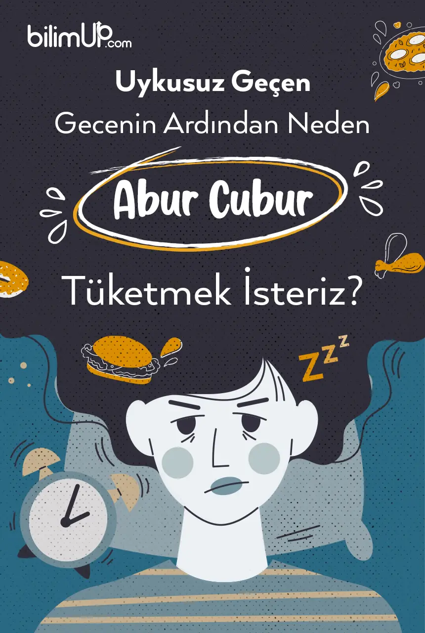 Uykusuz Geçen Gecenin Ardından Neden Abur Cubur Tüketmek İsteriz?