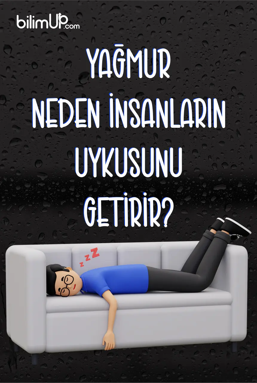 Yağmur Neden İnsanların Uykusunu Getirir? Yağmurun Uyku Üzerindeki Etkisi