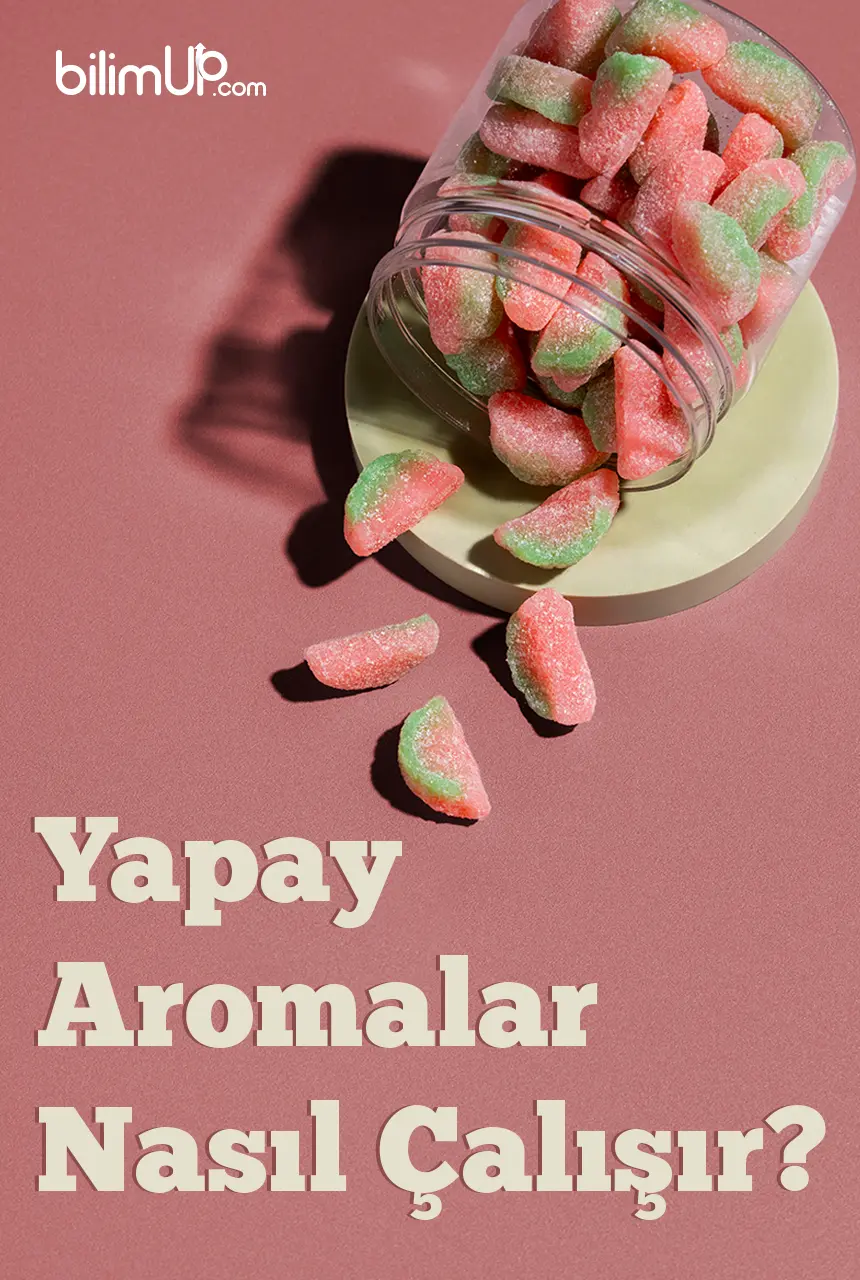 Yapay Aromalar Nasıl Çalışır?
