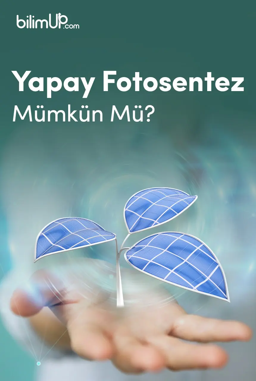Yapay Fotosentez Mümkün Mü?