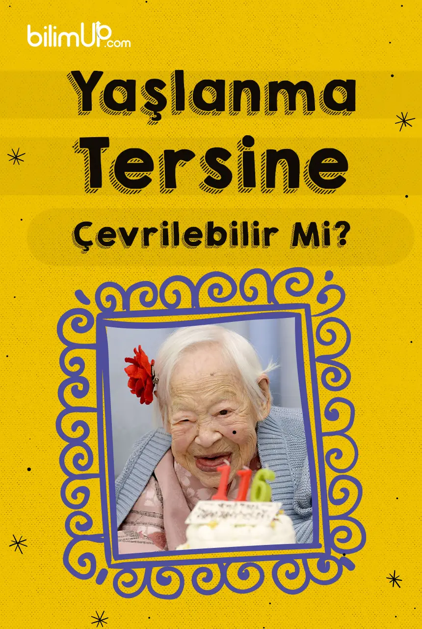 Yaşlanma Tersine Çevrilebilir mi?