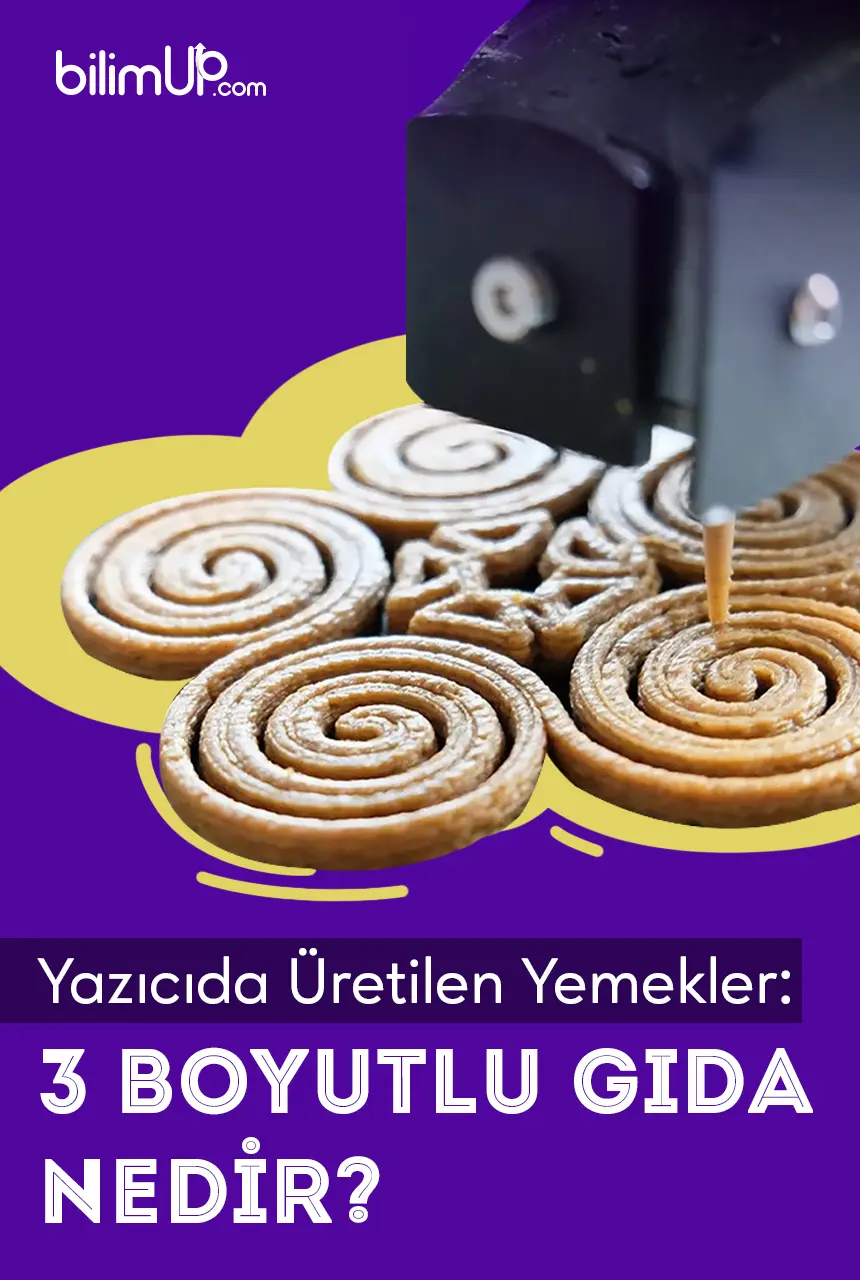 Yiyeceklerin 3 Boyutlu Yazıcıda Üretilmesi: 3 Boyutlu Gıda Nedir?