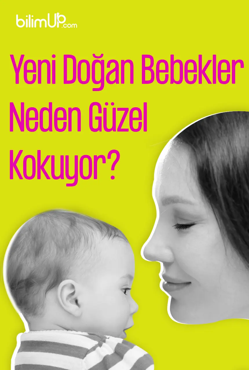 Yeni Doğan Bebekler Neden Güzel Kokuyor?