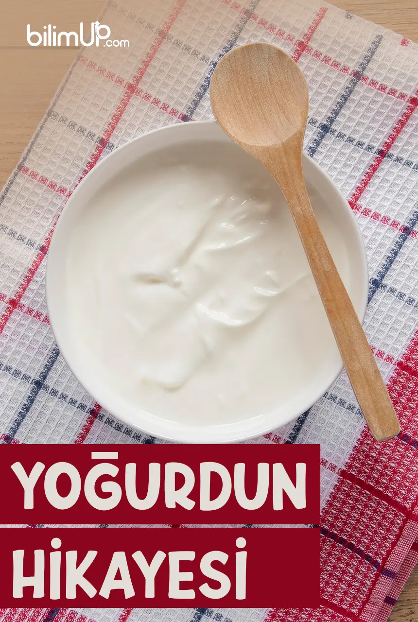 Yoğurdun Hikayesi