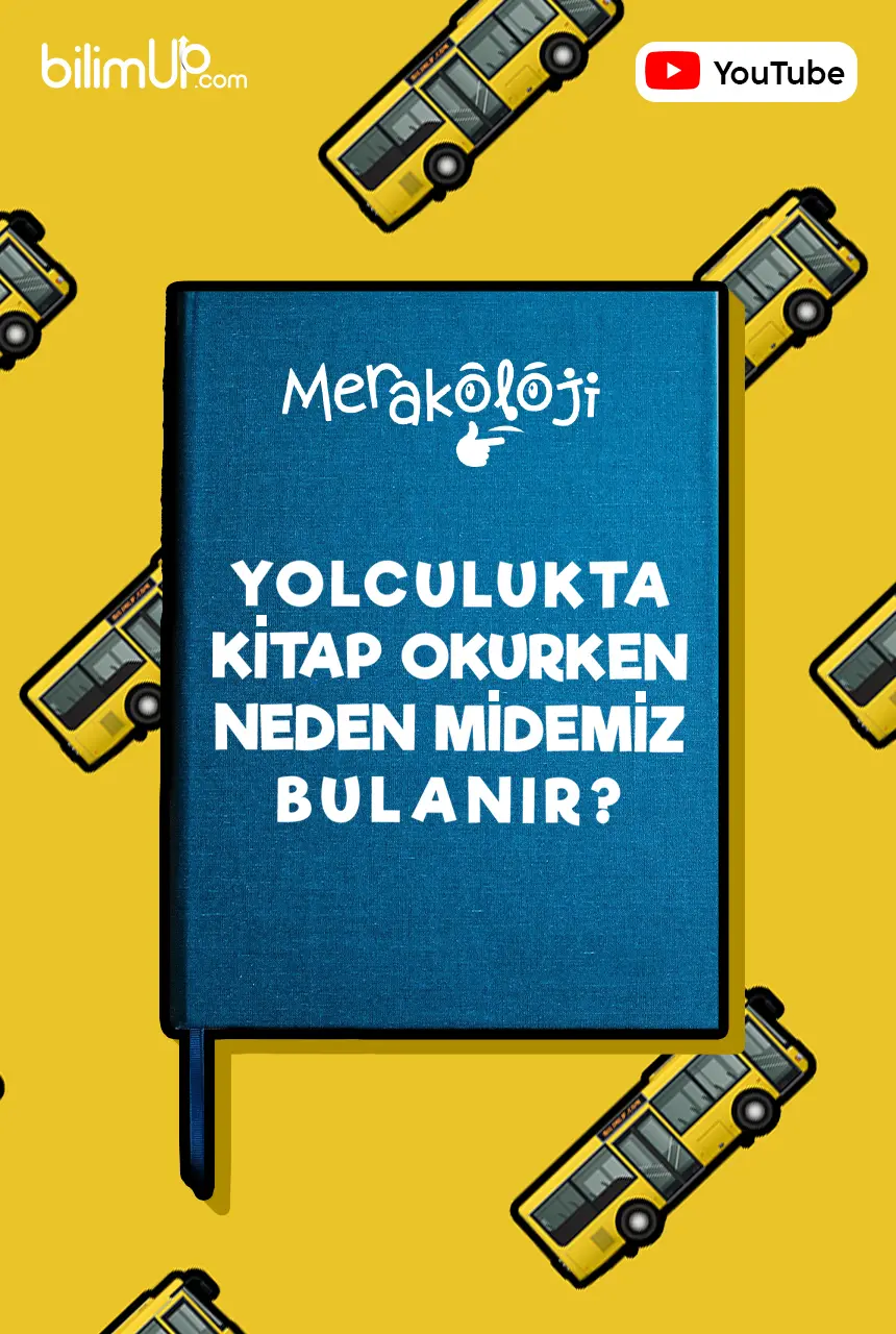 Yolculukta Kitap Okurken Neden Midemiz Bulanır? - Video