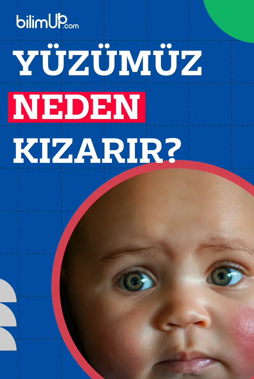Yüzümüz Neden Kızarır?