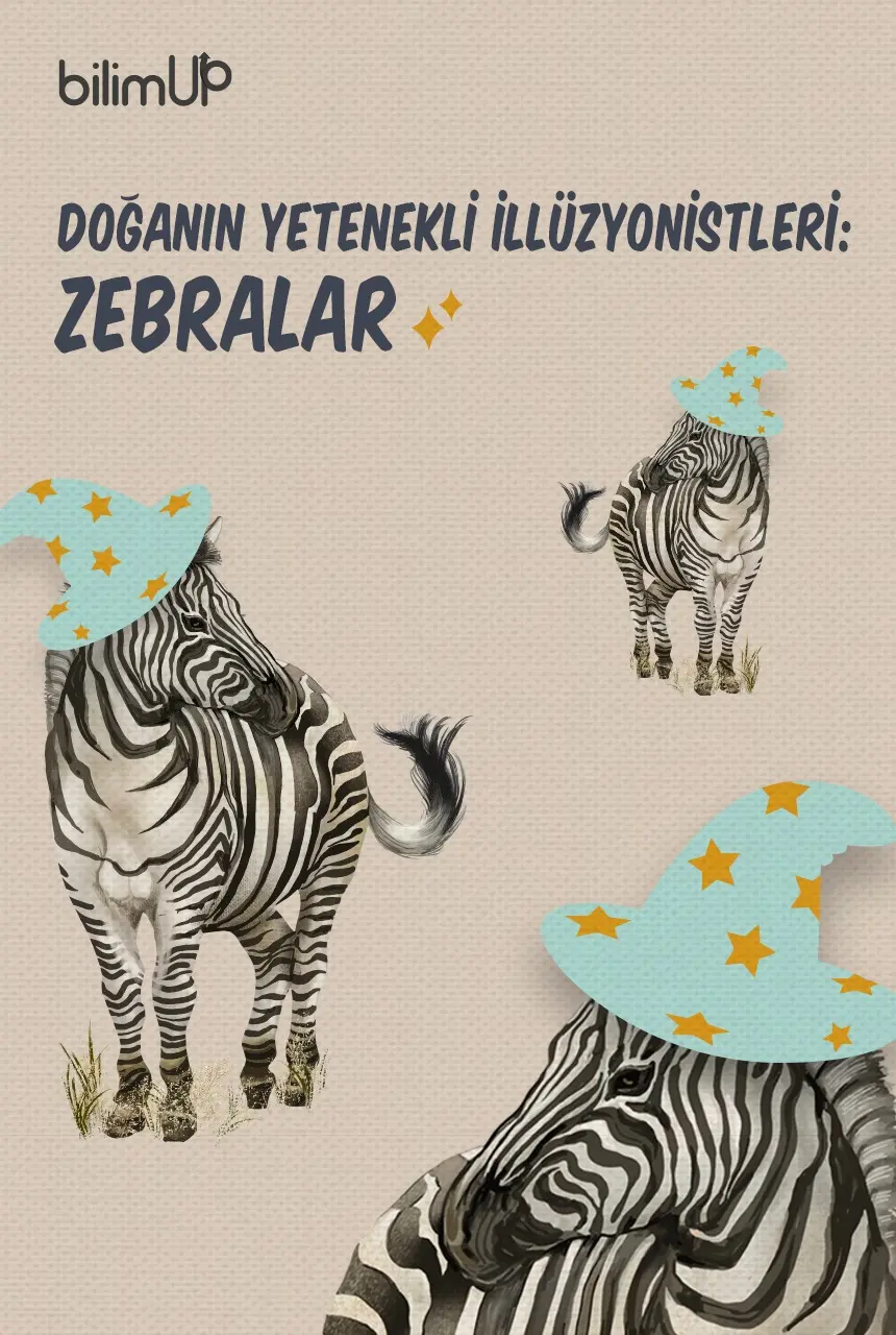 Doğanın Yetenekli İllüzyonistleri: Zebralar
