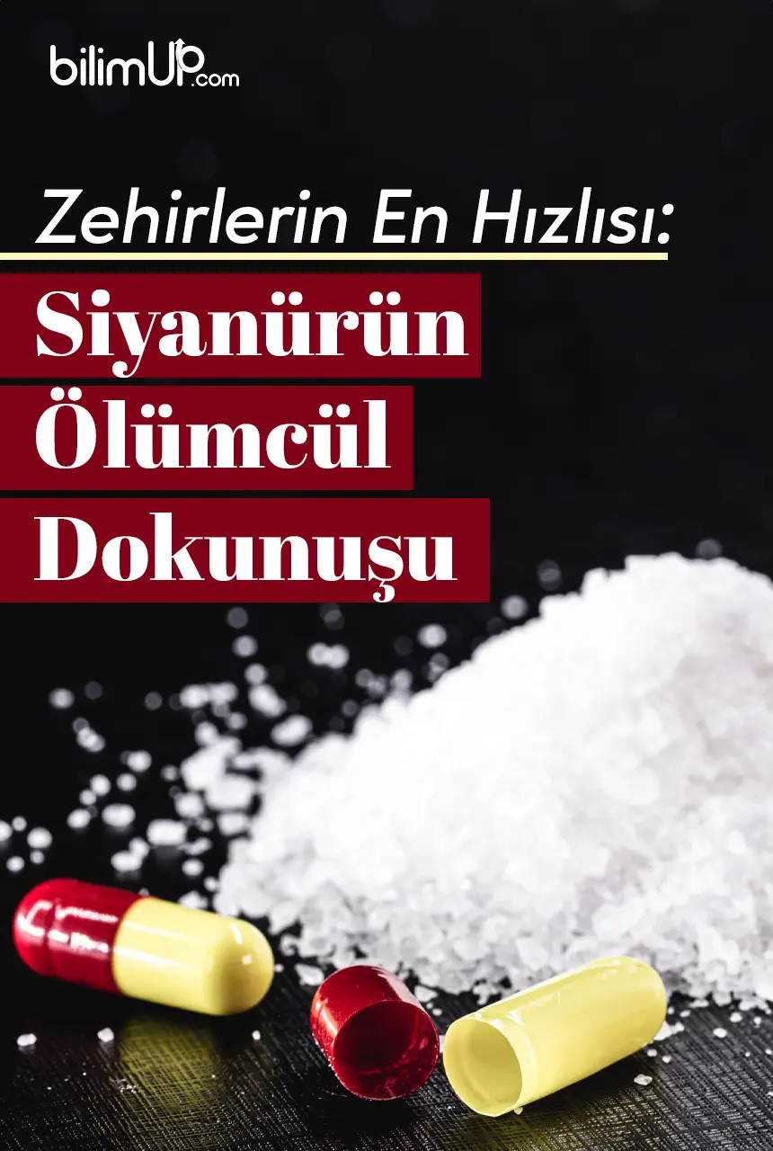 Zehirlerin En Hızlısı: Siyanürün Ölümcül Dokunuşu