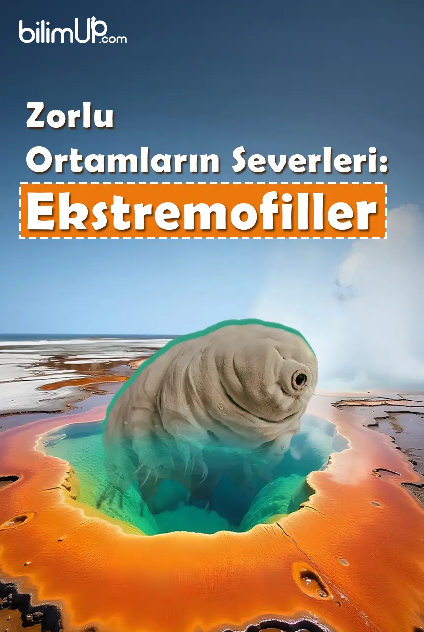 Zorlu Ortamların Severleri: Ekstremofiller
