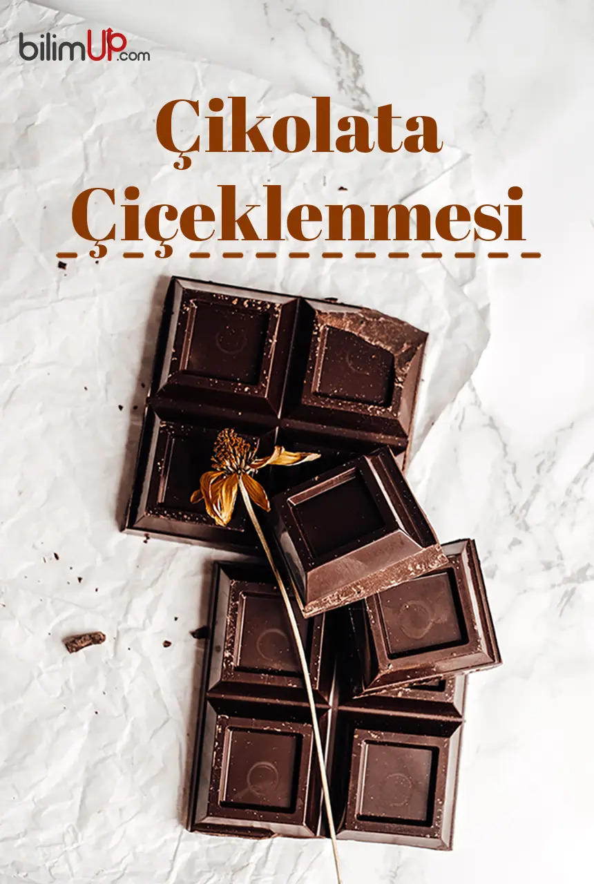 Çikolata Neden Beyazlar? Çikolata Çiçeklenmesi