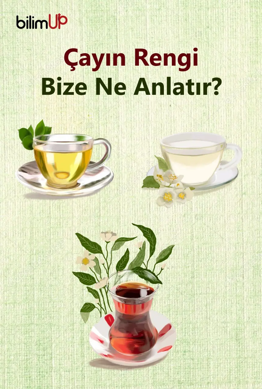 Çayın Rengi Bize Ne Anlatır?