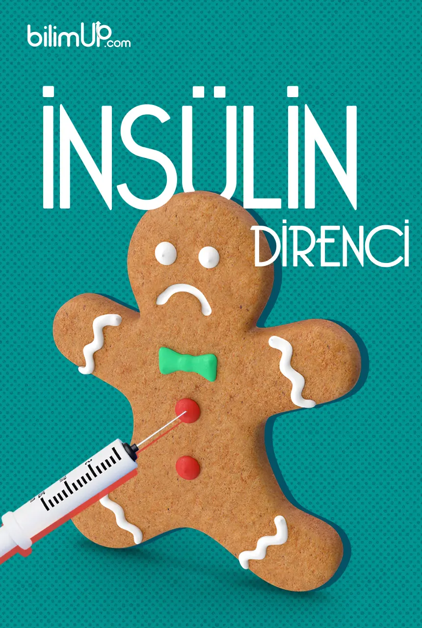 İnsülin Direnci