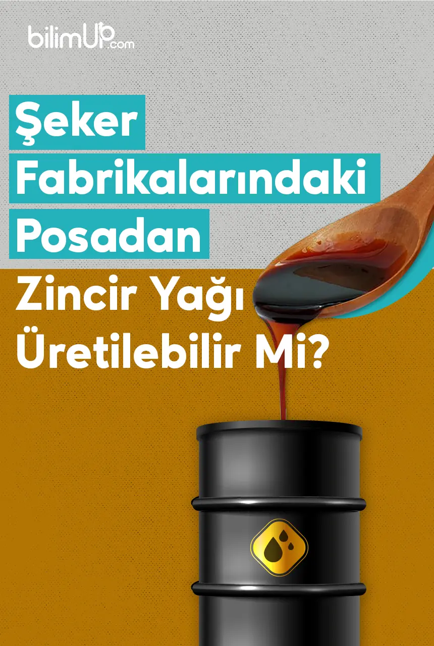 Şeker Fabrikalarındaki Posadan Zincir Yağı Üretilebilir Mi?