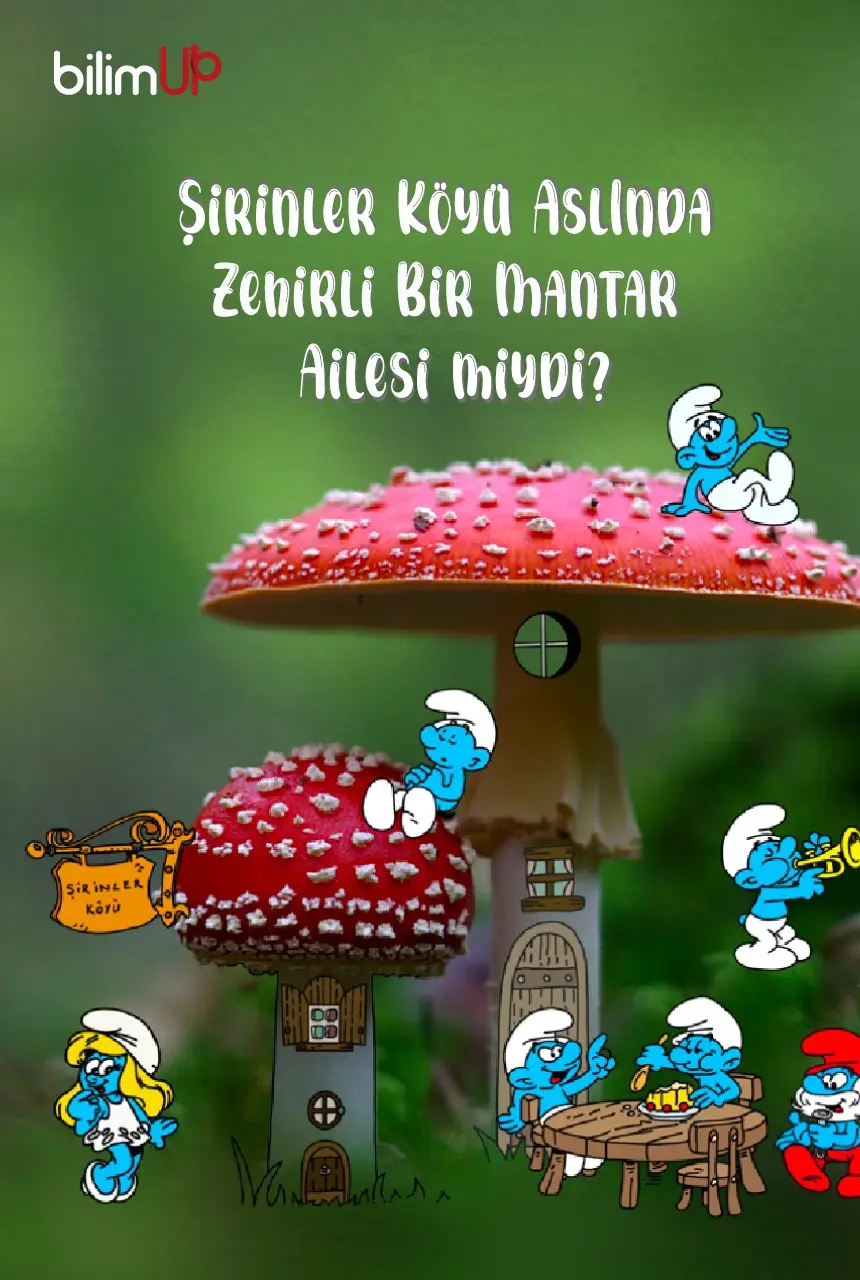 Şirinler Köyü Aslında  Zehirli Bir Mantar Ailesi miydi?